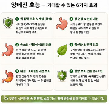 양베진-효능-내돈내산-성분-함량-가격-섭취방법
