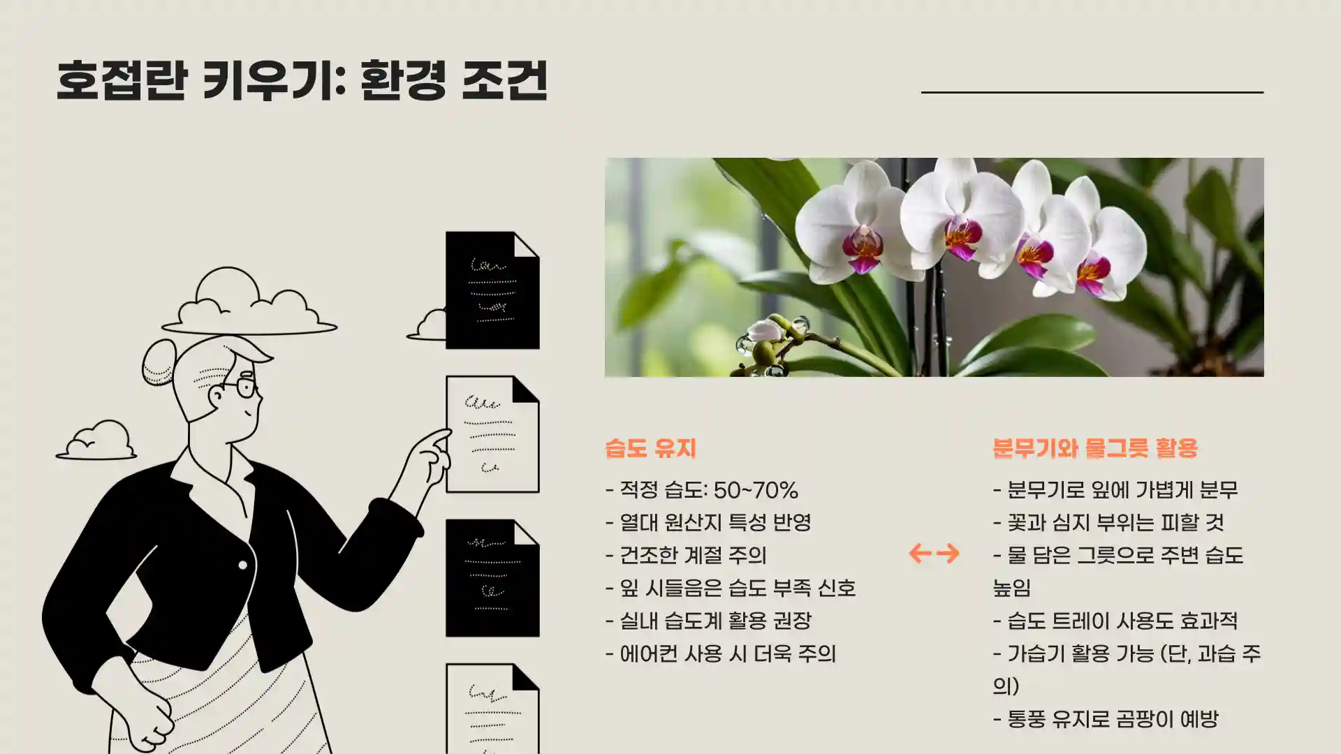 호접란 키우는 법 물주는 방법