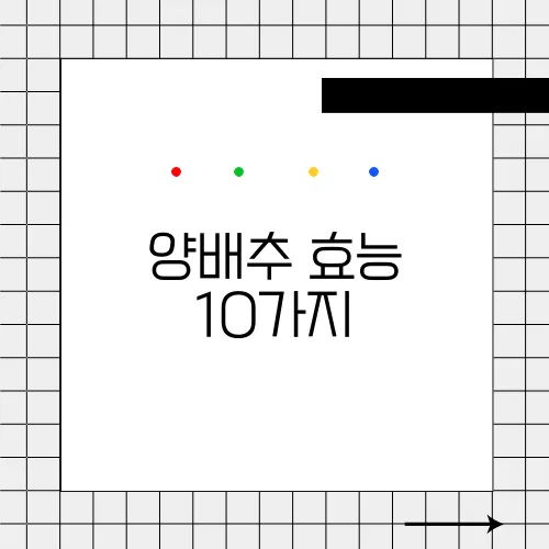 양배추 효능 10가지, 부작용