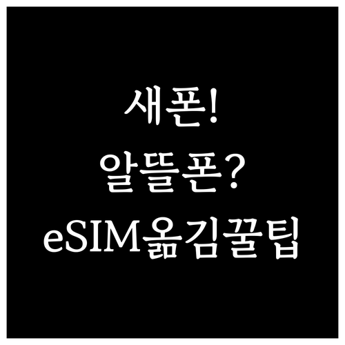 새폰 바꿨을때 알뜰폰 eSIM 옮기는..