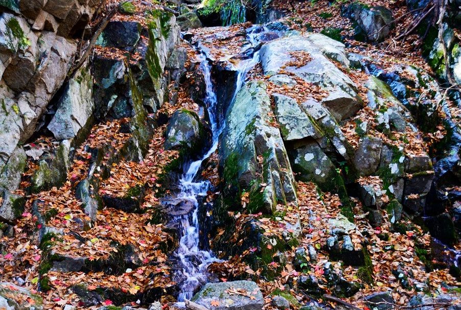 치악산자연휴양림