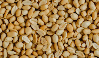 땅콩버터 효능과 땅콩버터 만들기