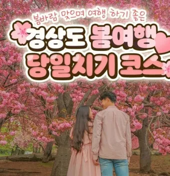 경상도 봄여행 가볼만한곳 베스트 10 완벽 여행 가이드_42