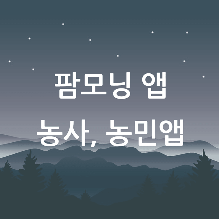팜모닝
