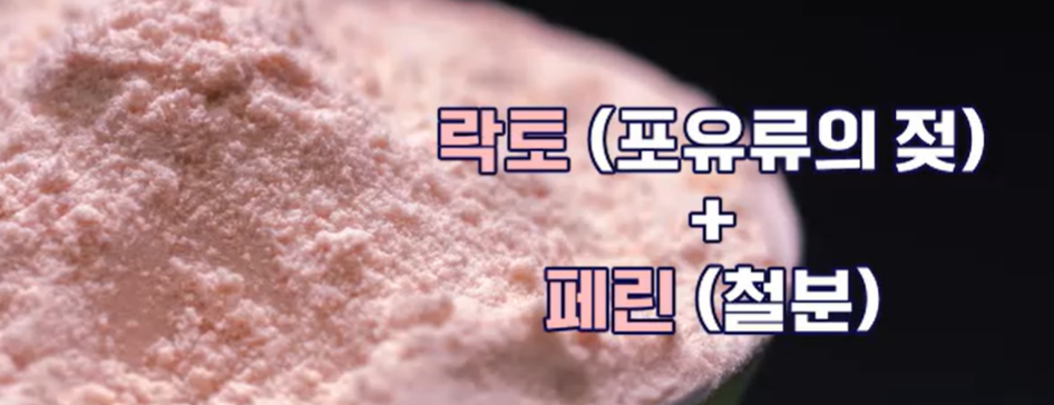 락토페린