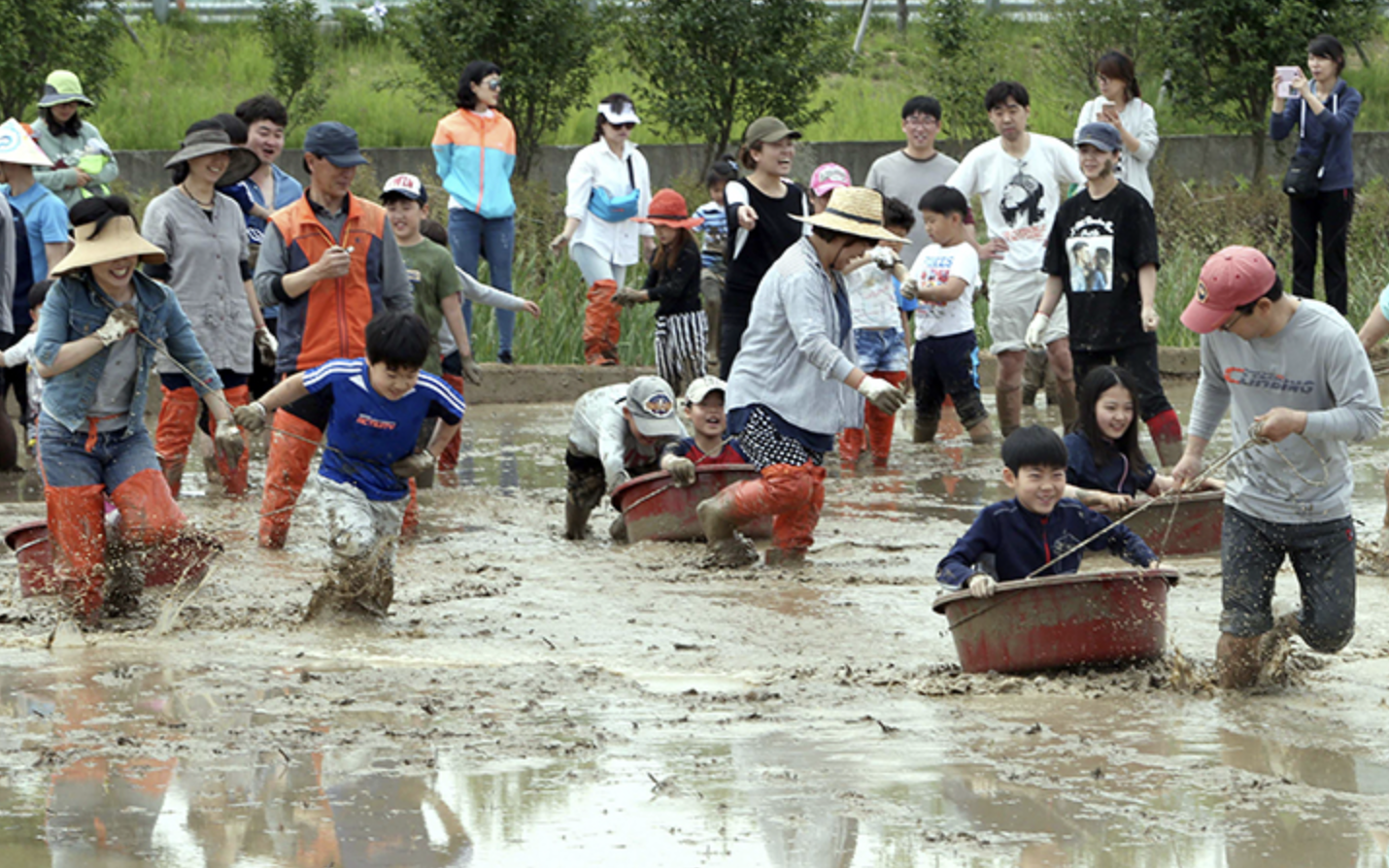 농촌 활동 모습