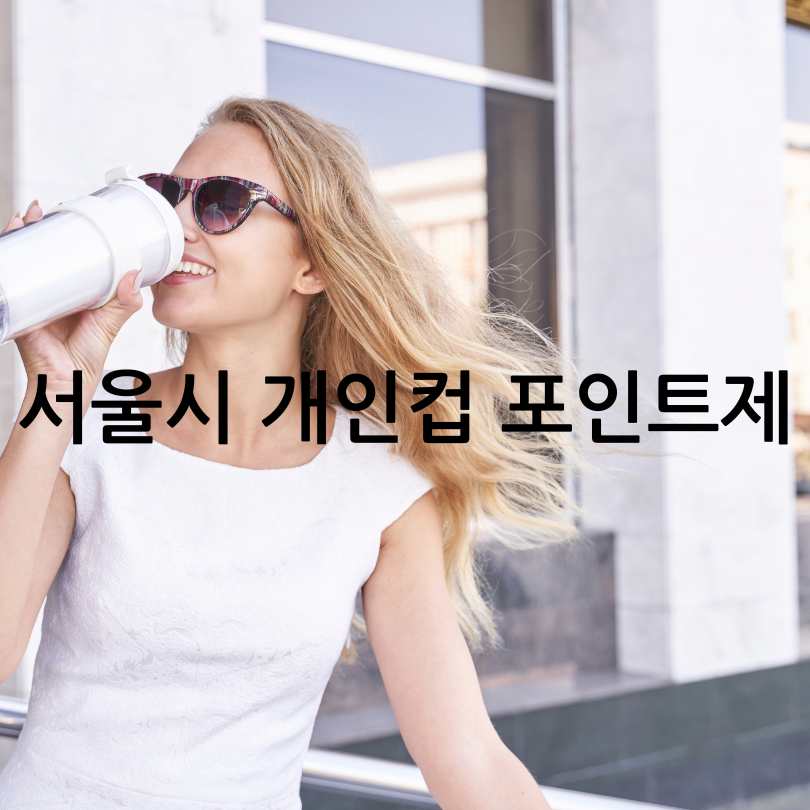 서울페이 개인 컵 포인트제 