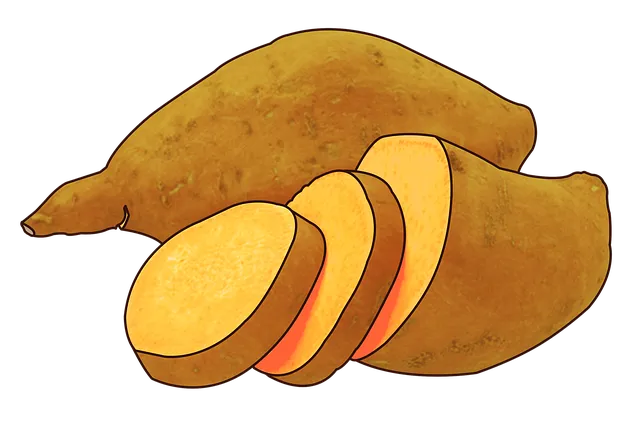 피곤할 때 먹으면 좋은 음식 10가지