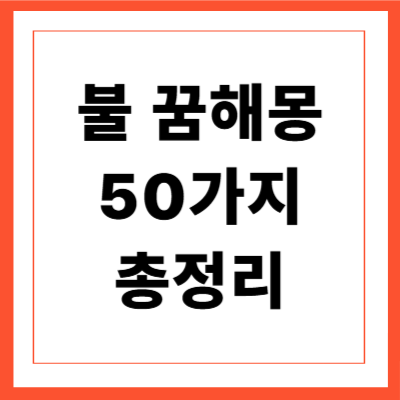불 꿈해몽 50가지 총정리
