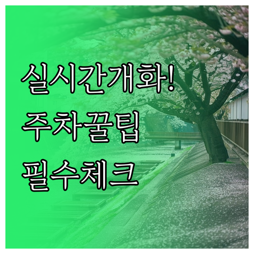 2026 금천 하모니 벚꽃축제 실시간..