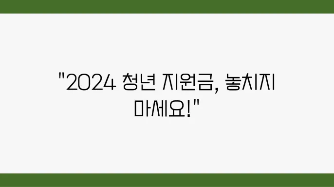 2024 청년 지원금 종류 및 요약 정보