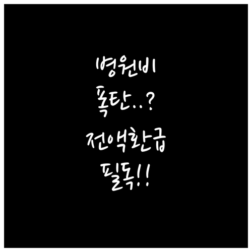 요양병원 본인부담상한액 기준과 초과 ..