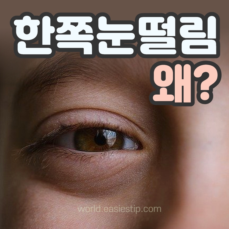 한쪽눈 떨림 이유