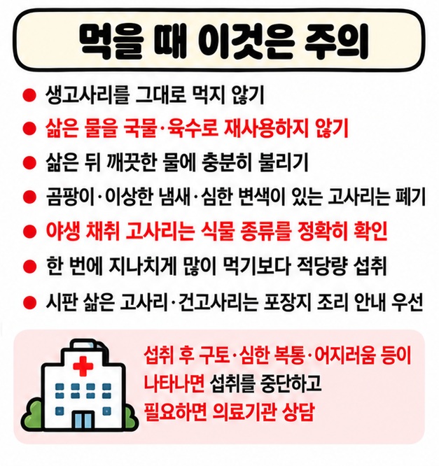 생고사리를 그대로 먹지 않고 삶은 물을 재사용하지 않으며 곰팡이 변색 이상 냄새가 있는 고사리는 버리는 주의 카드