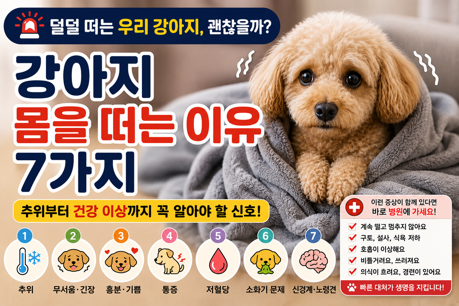 강아지 몸을 떠는 이유 7가지|추위부터 건강 이상까지 꼭 알아야 할 신호
