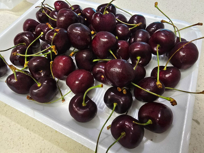 전립선에 좋은 음식