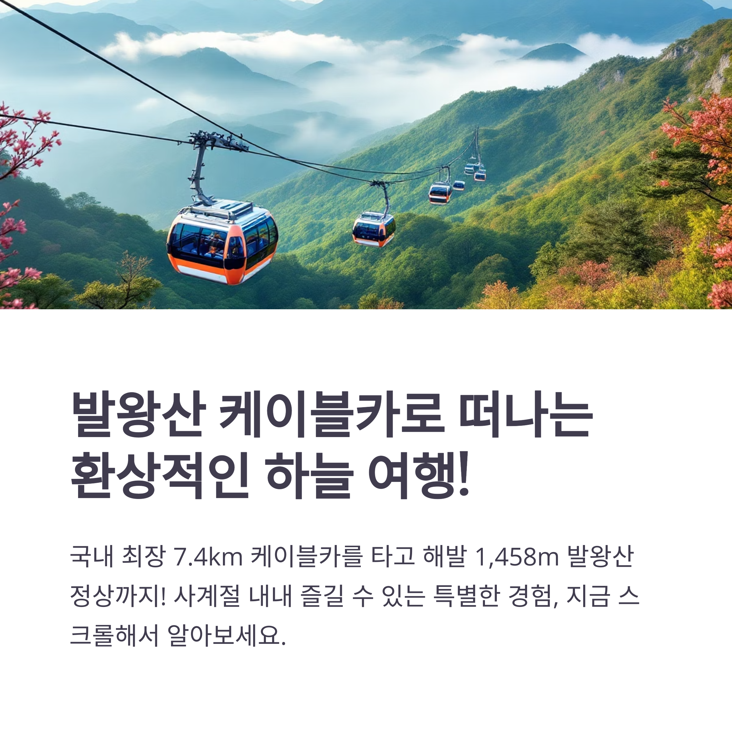 평창 발왕산에서 즐기는 케이블카 여행기