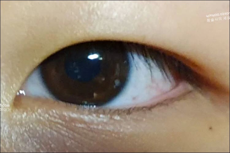 두툼한 눈