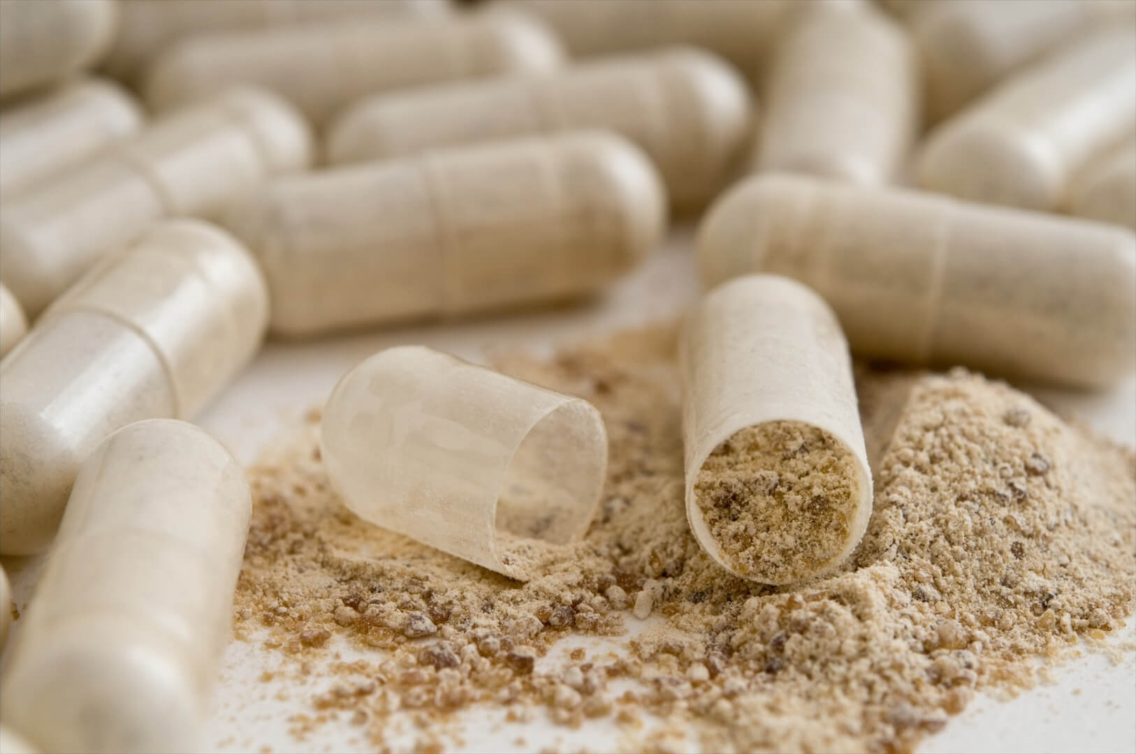 알약 속에 내용물