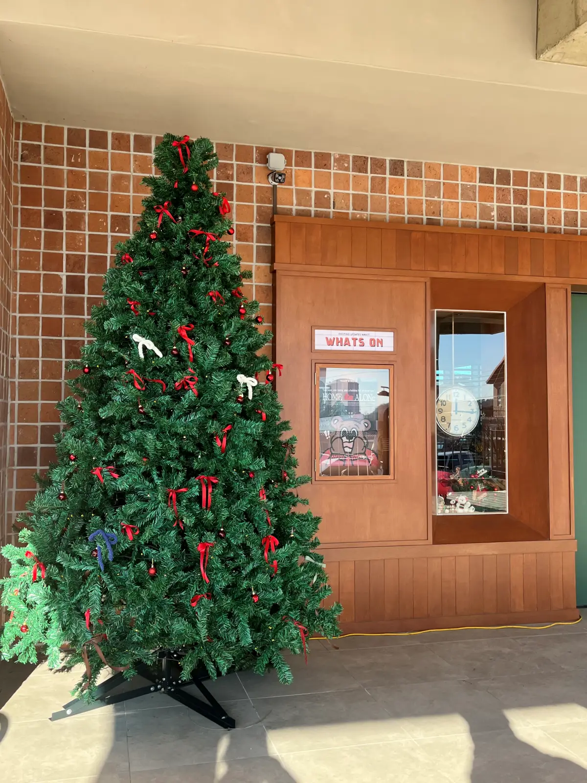 테디스로드 외관 트리