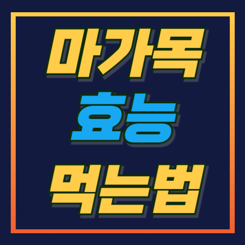 마가목 효능