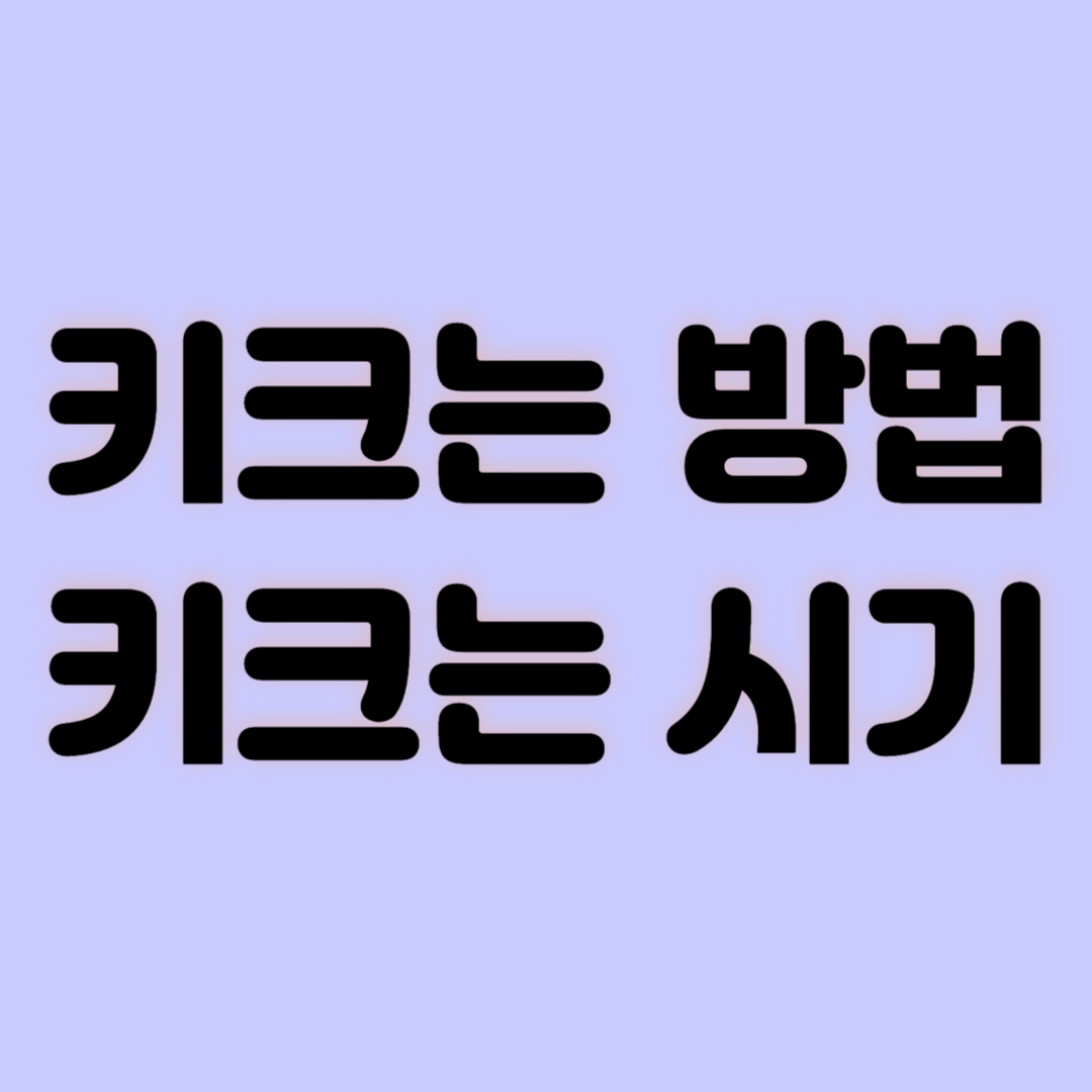 키크는 방법 키크는 시기