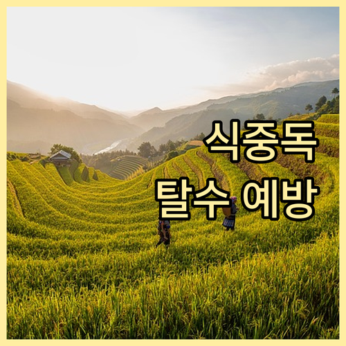 반복되는 식중독 구토, 탈수 예방과 ..