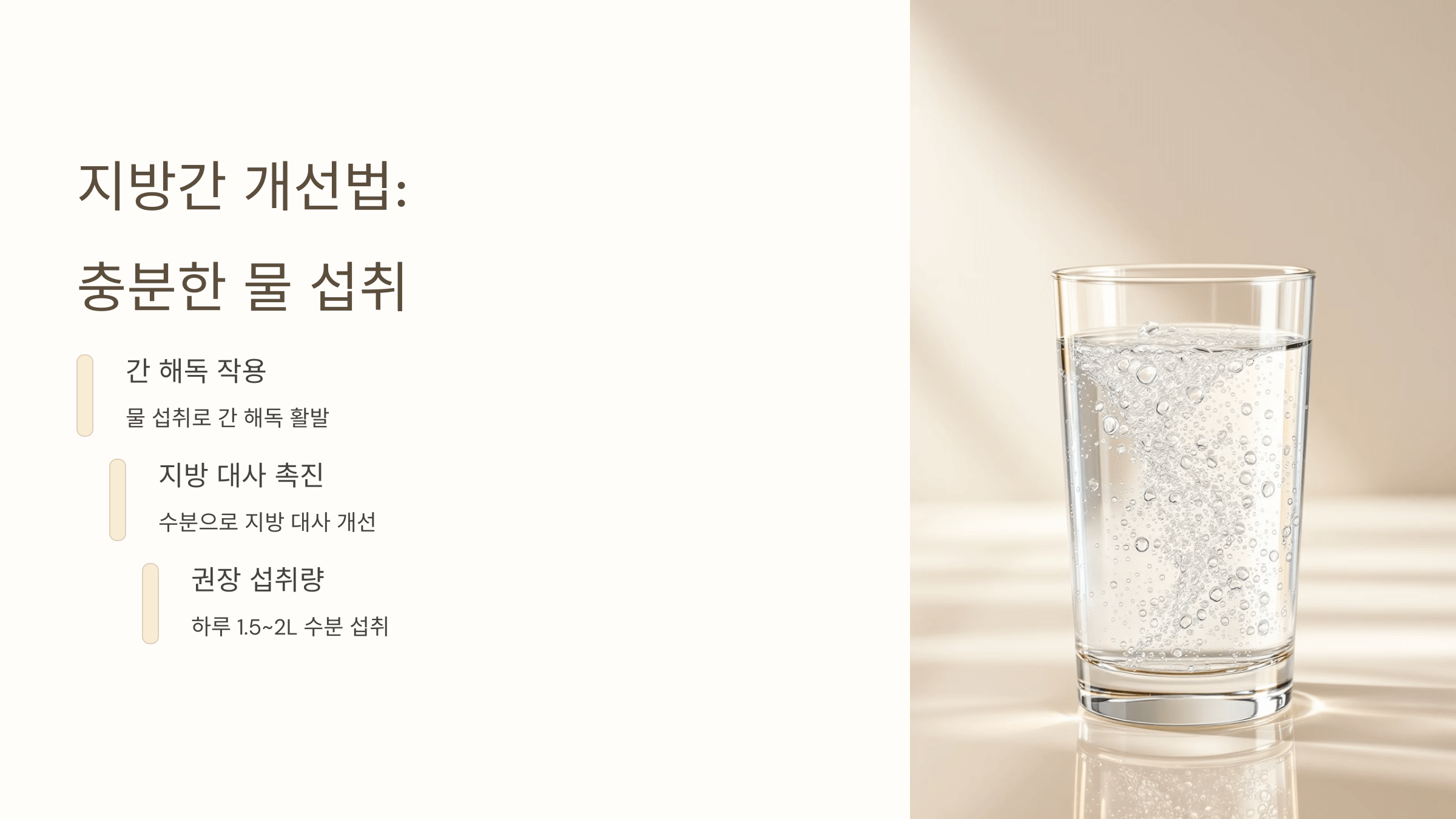 지방간과 관련된 사진입니다.