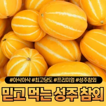 성주 참외 축제 알찬 정보 가요제 행사 일정 완벽 정리_7