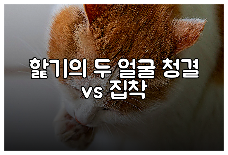 핥기의 두 얼굴 청결 vs 집착