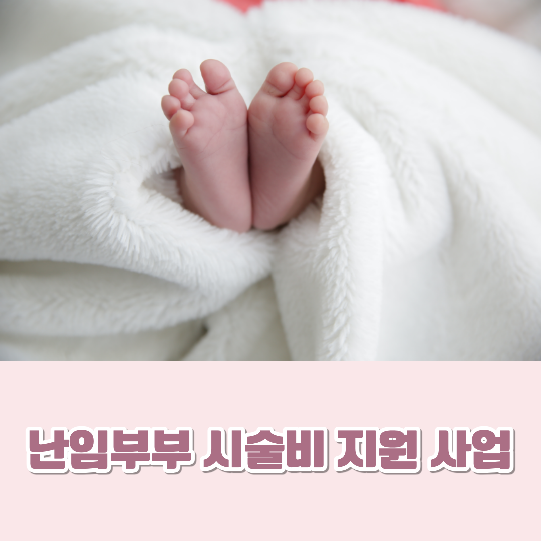 난임부부 시술비 지원 사업 이미지.