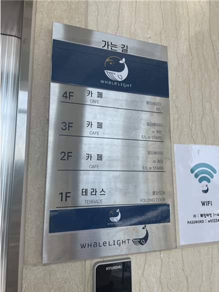 강원여행 속초여행 속초카페 속초웨일라잇 속초해수욕장
