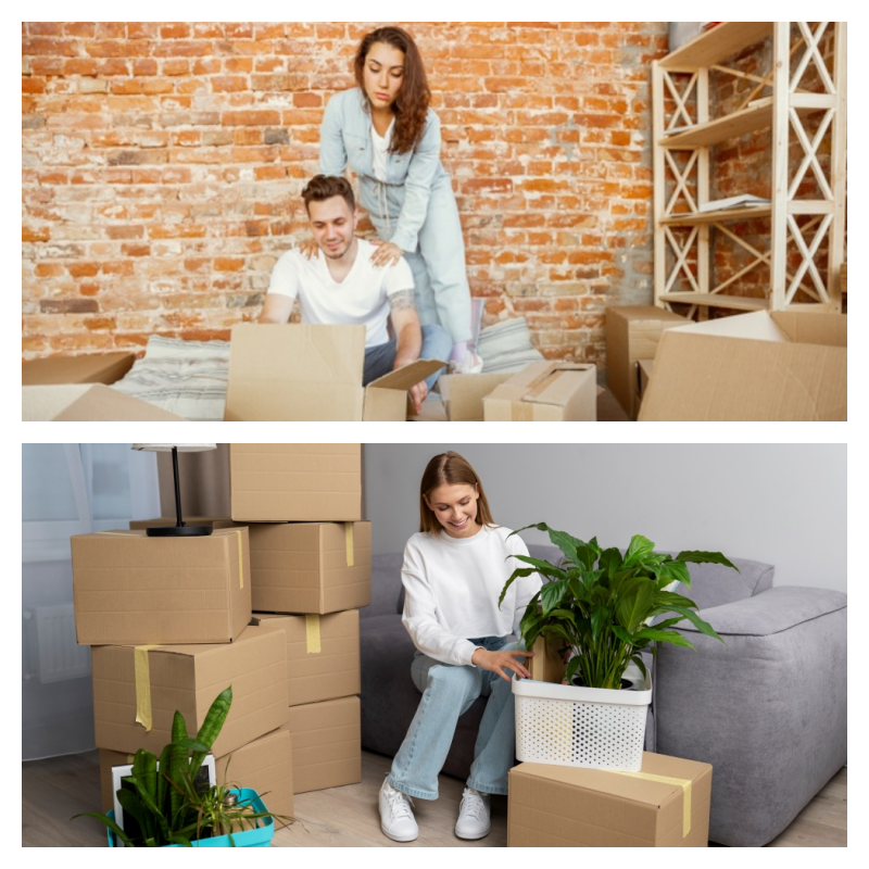 원룸 이사 포장이사 비용 절감