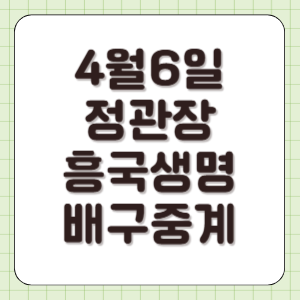 정관장 흥국생명 배구 중계 2025년 4월 6일 실시간 방송 채널중계 챔피언결정전 4차전 전력 분석 썸네일