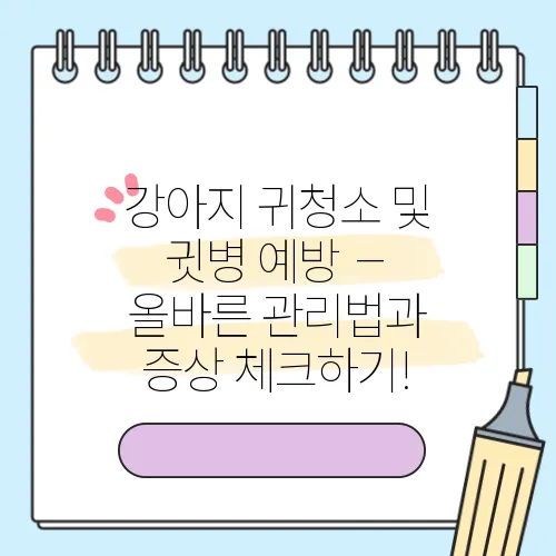 강아지 귀청소 및 귓병 예방 – 올바른 관리법과 증상 체크하기!