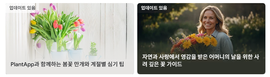 식물 이름 찾기 어플, 어플 다운로드 하고 식물이름 찾기