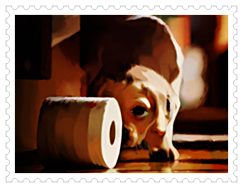 안드렉스 강아지