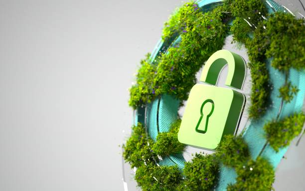 에너지 안보 vs 탄소중립, 충돌은 불가피한가?