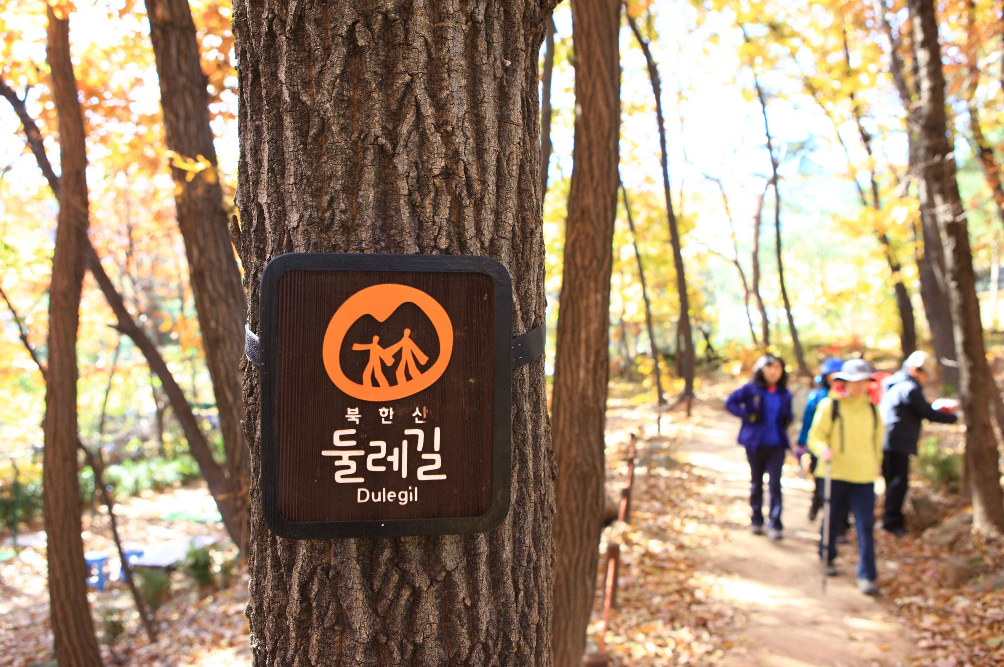 북한산-둘레길-풍경