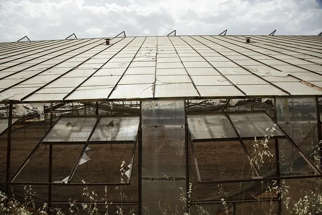 종묘 예약 관람 예약 종묘제례악 공연 예약_4