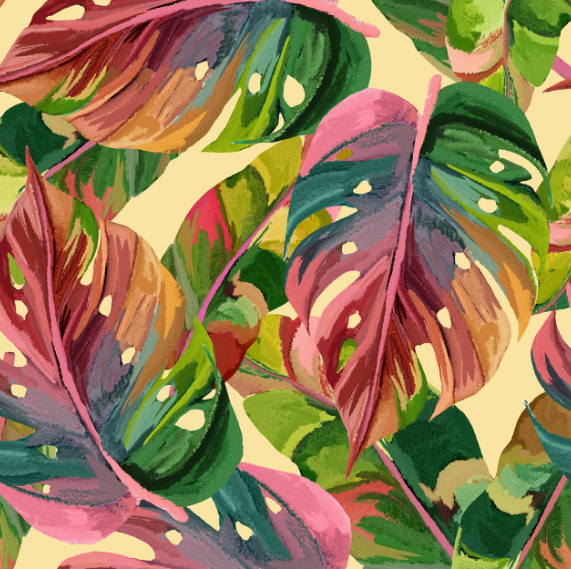 몬스테라 일러스트 사진