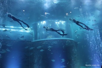 7월 여행지 추천