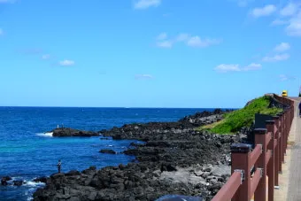 4월 제주도 가볼만한곳 2025년 10선_17