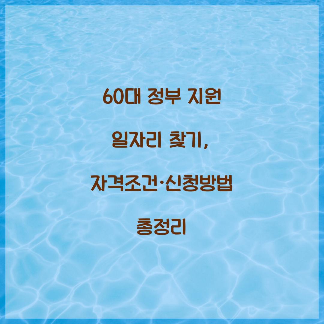60대 정부 지원 일자리
