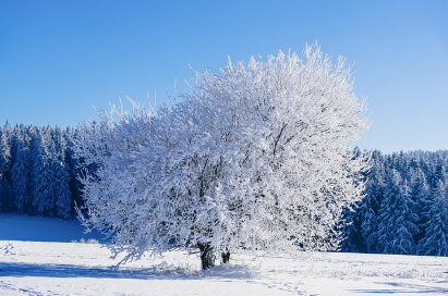 대구 남구 대성에너지 전화번호(도시가스 고객센터)