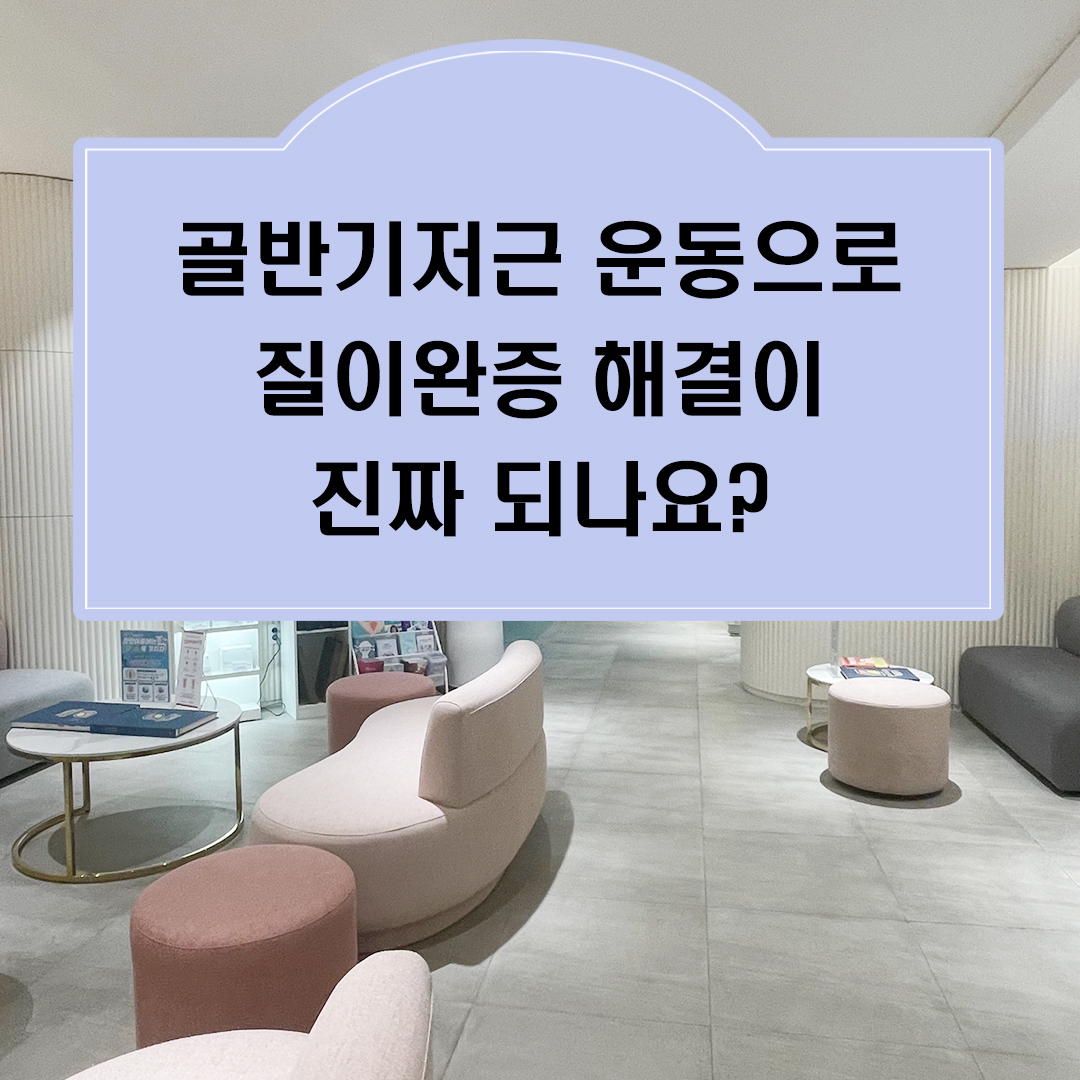 골반기저근 운동 질이완증 해결 진짜 되나요?