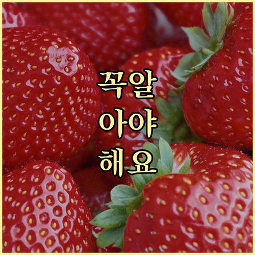 차상위 의료급여: 자격 조건부터 병원..