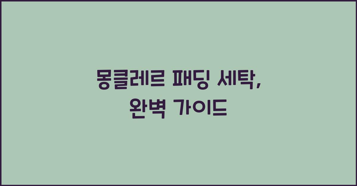 몽클레르 패딩 세탁