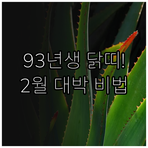 1993년생 닭띠를 위한 2월 업무운..