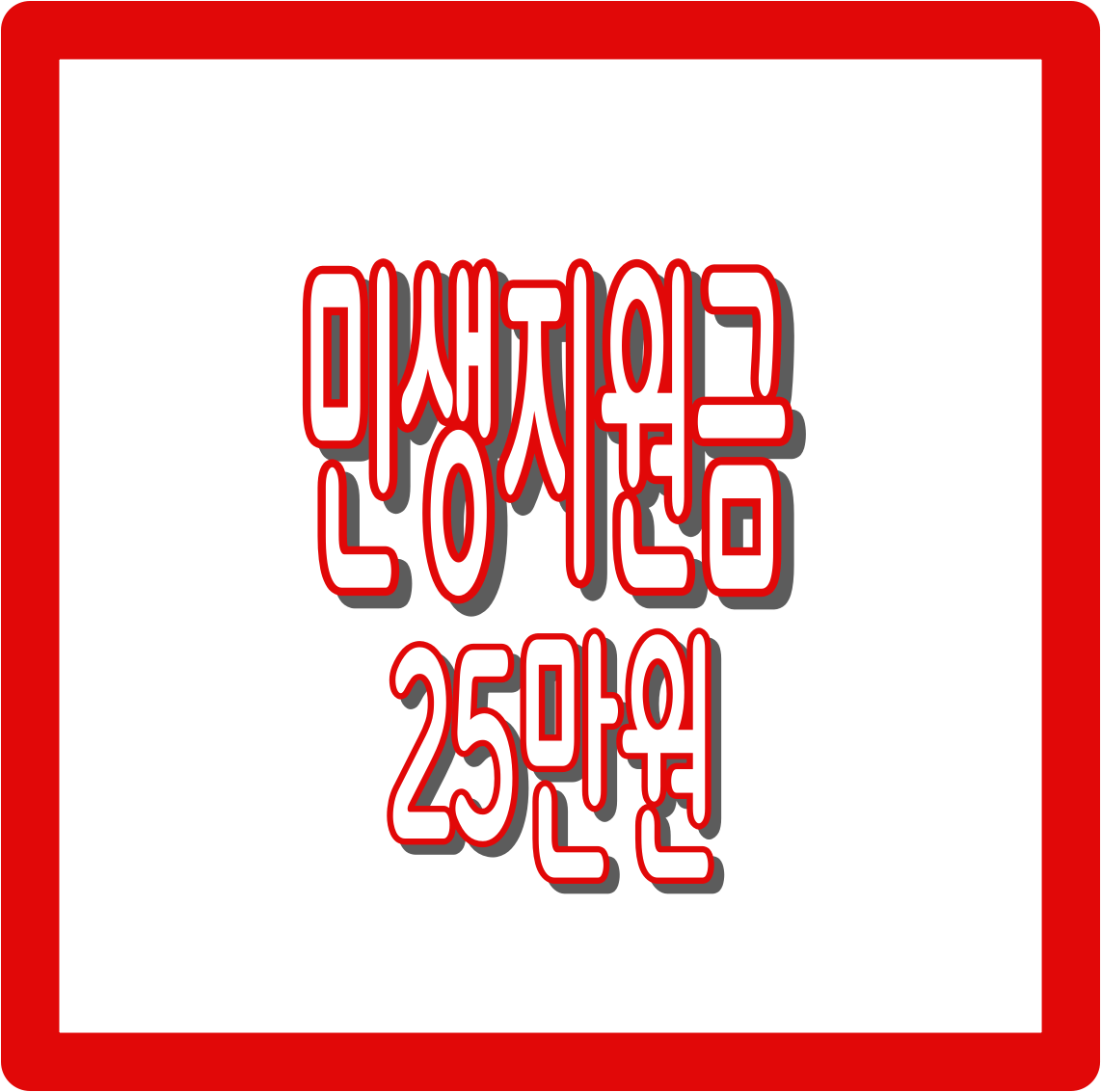 민생지원금 25만원 총정리